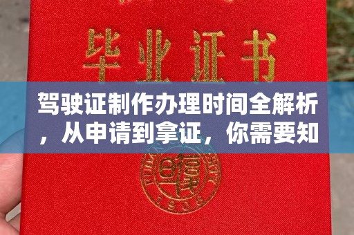 夏津驾驶证制作办理时间全解析，从申请到拿证，你需要知道的一切