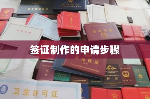 夏津签证制作的申请步骤